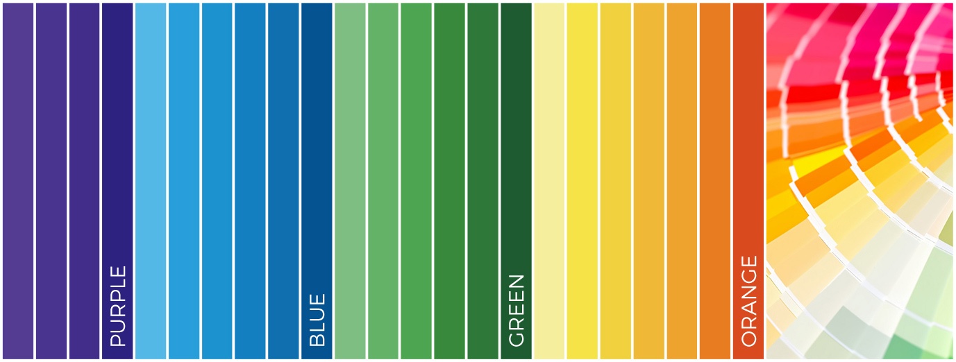 Color Card