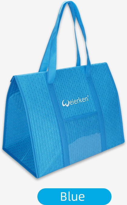 blue bag (3)