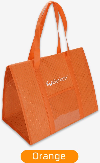 orange bag (3)