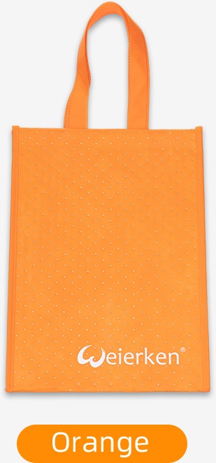 orange bag (4)